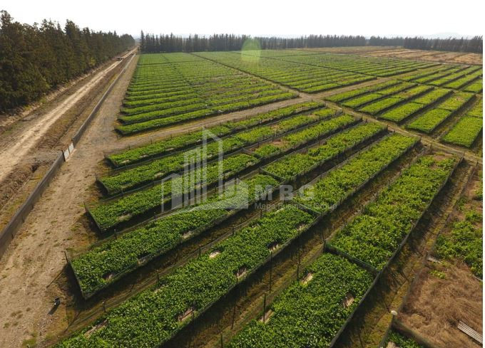 For Sale Land Municipalities of Guria