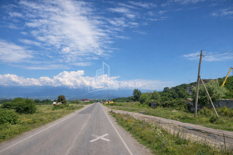 For Sale Land Telavi Kakheti