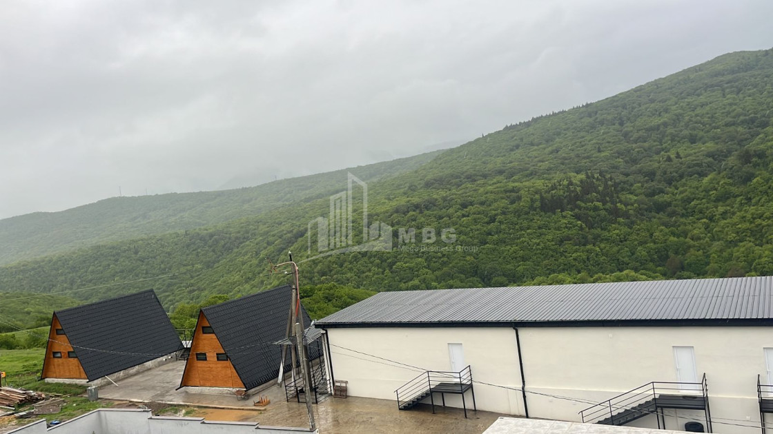For Sale Commercial Manglisi Tetritskaro Kvemo Kartli
