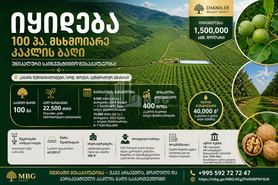 Продается Ореховый сад Земля В ли, Каспси