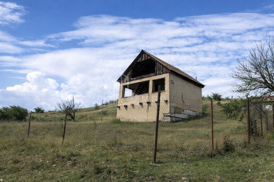 For Sale Country Land In Iltosa village, Dusheti
