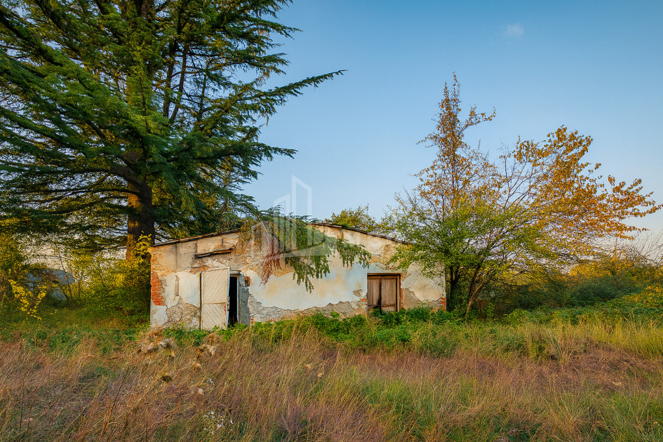 Продается Коммерческий Ахмета Кахети