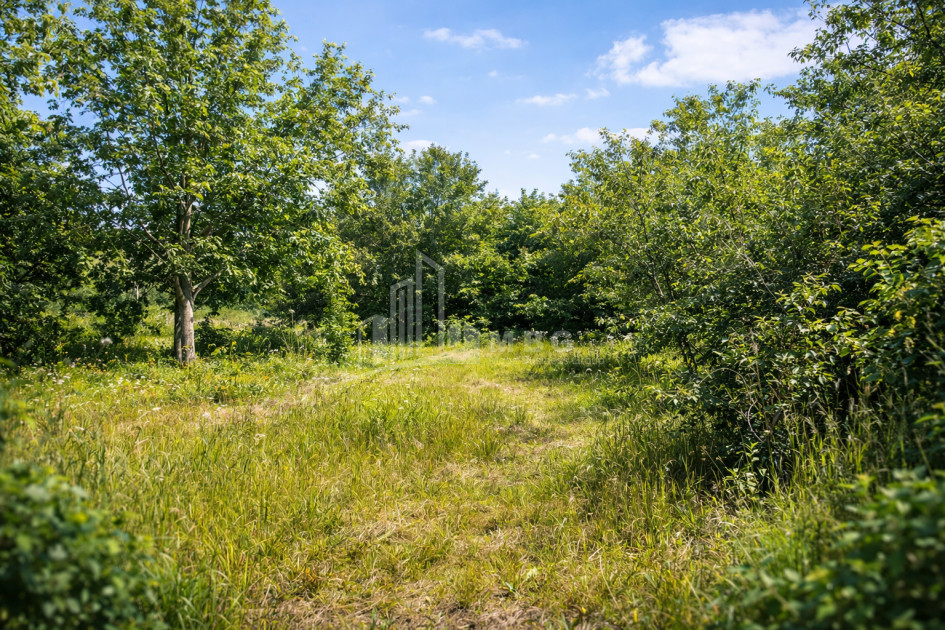 For-Sale-Land-Mchadijvari-village-Dusheti-Mtskheta---Mtianeti