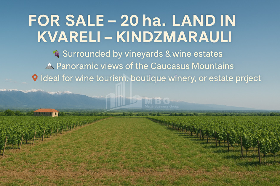 For Sale Land Eniseli Kvareli Kakheti