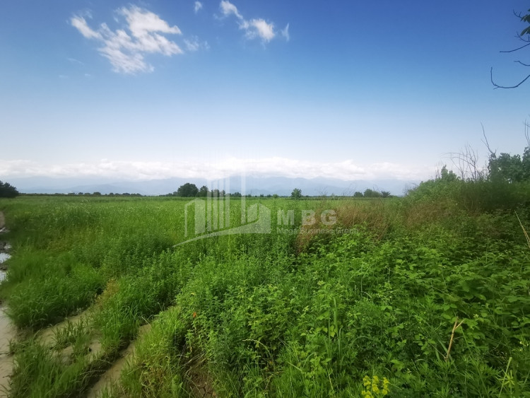 For Sale Land, Gurjaani Municipality, Municipalities of Kakheti