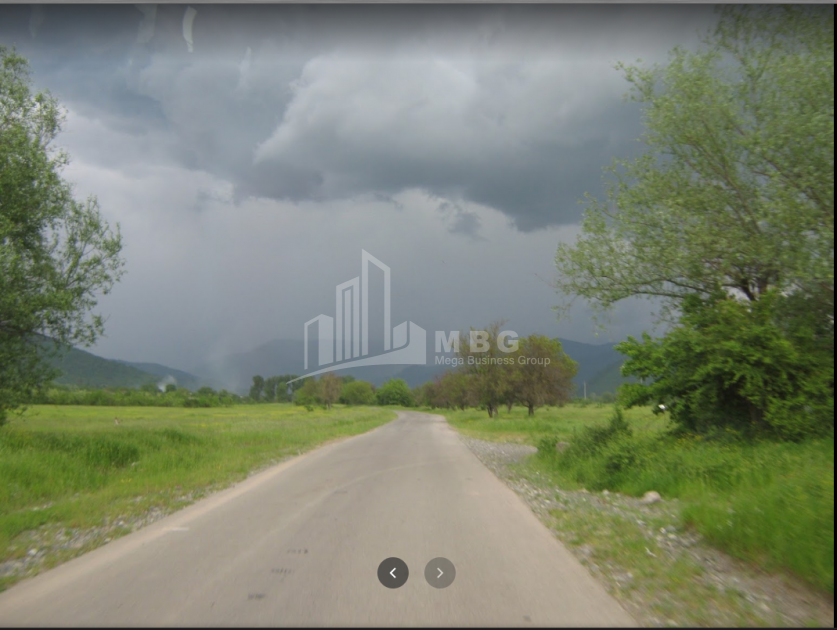 For Sale Vineyard - Chateau Land, in Matani