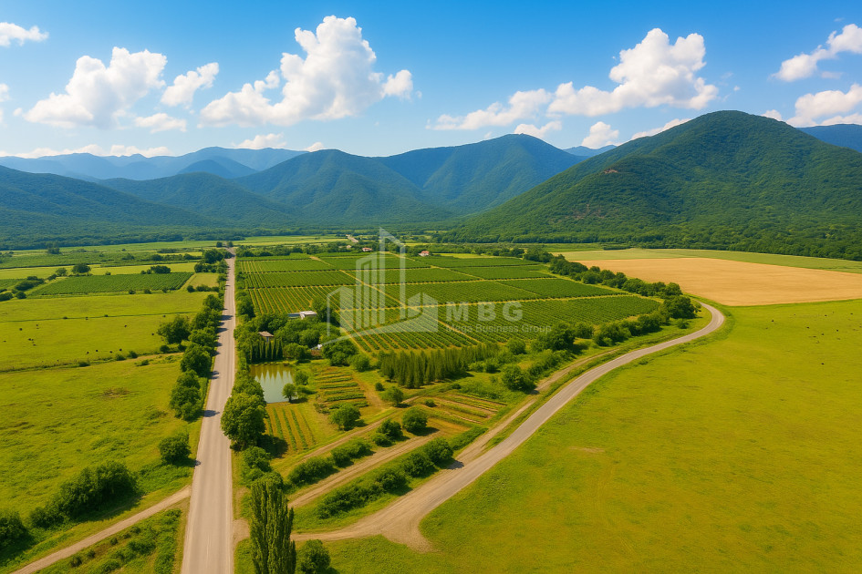 For Sale Land Kvareli Kakheti