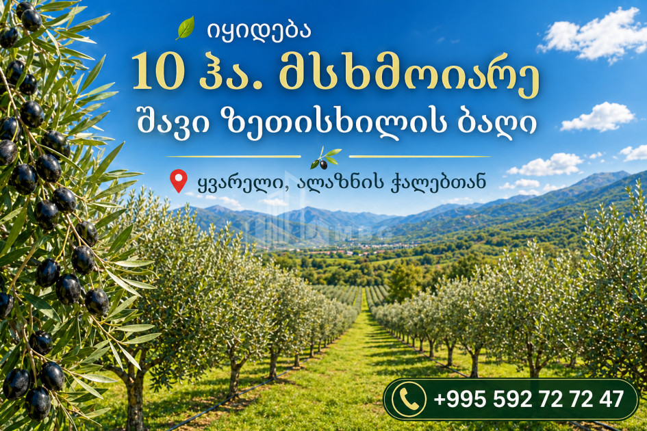 Продается Фруктовые сад Земля В Кварели