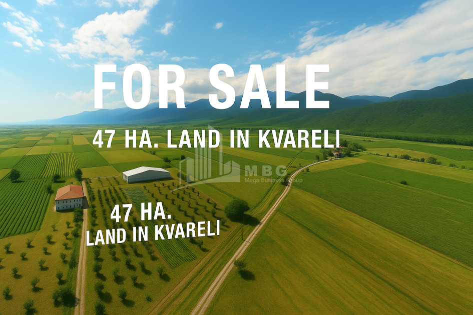 For Sale Land Kvareli Kakheti