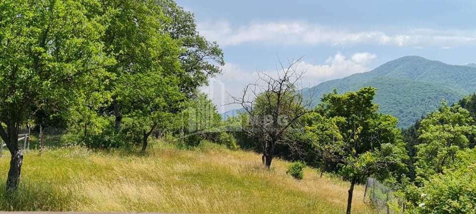 For Sale House - Villa, in Kvishkheti