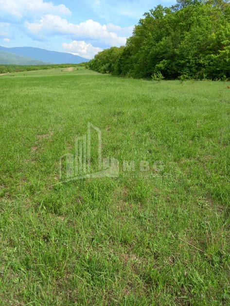 For Sale Country Land, in Village Baga