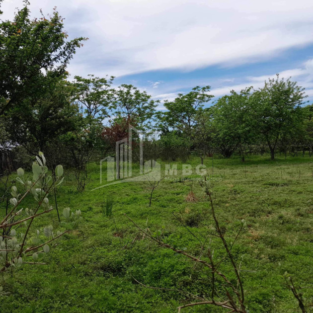 For Sale Land Grigoleti Lanchkhuti Municipalities of Guria