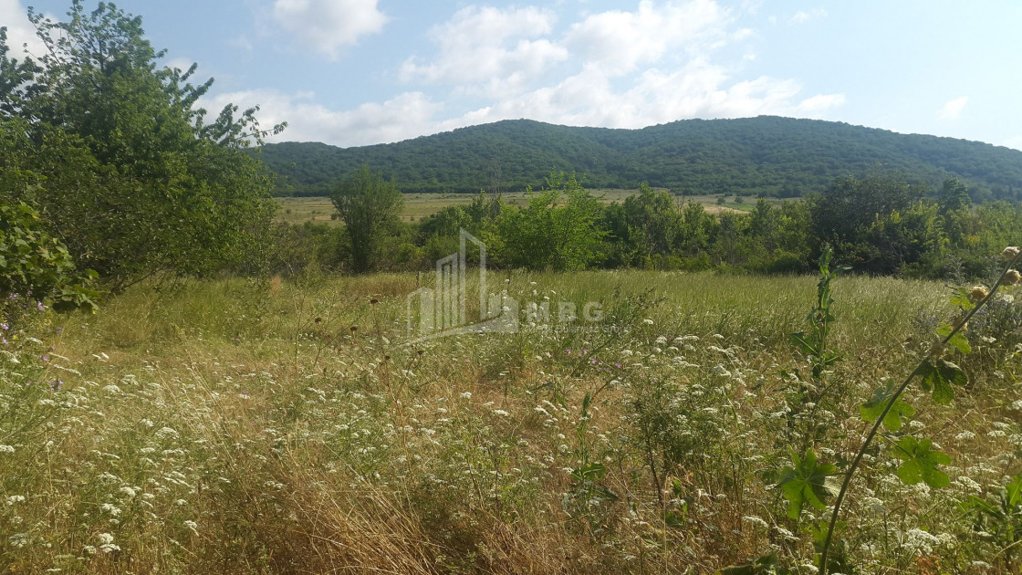 For Sale Country Land, in Tsinamdzgvriantkari