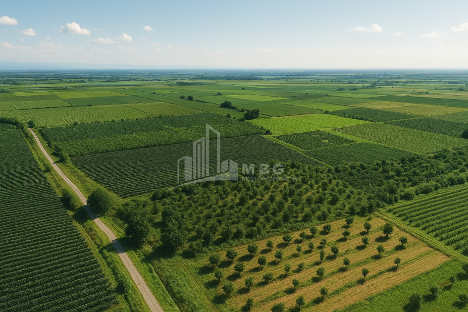 For Sale Land Kvareli Kakheti