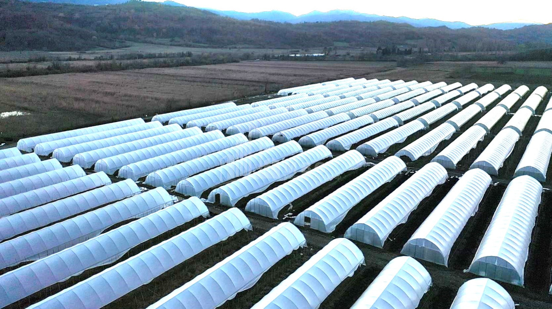 For Sale Land Vani Imereti