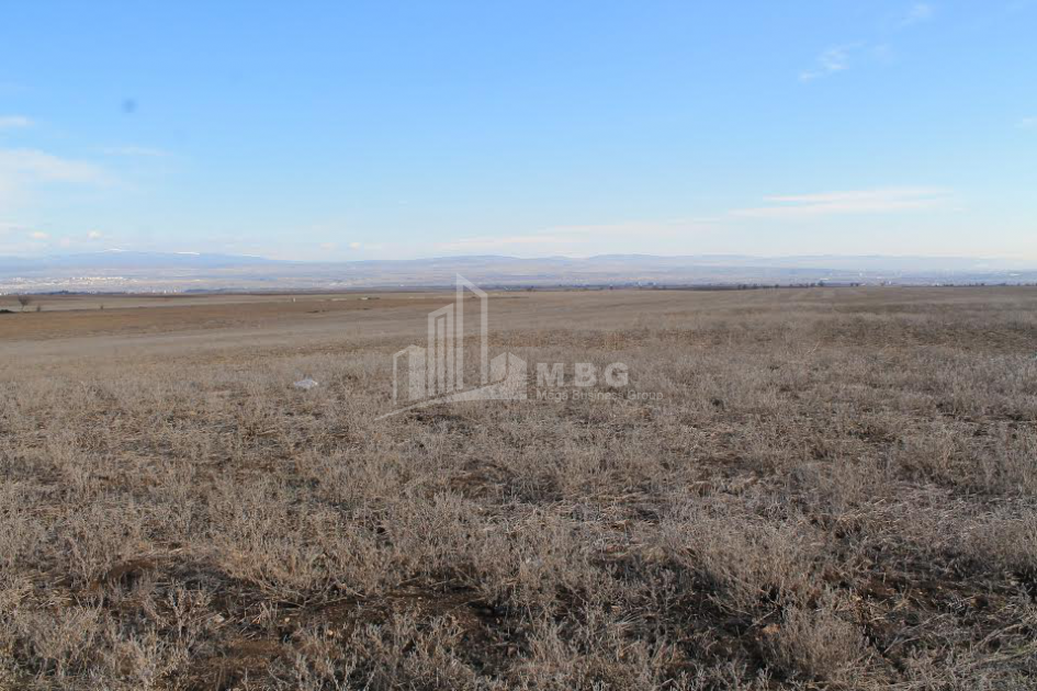 For Sale Orchards Land, in Kvemo Teleti
