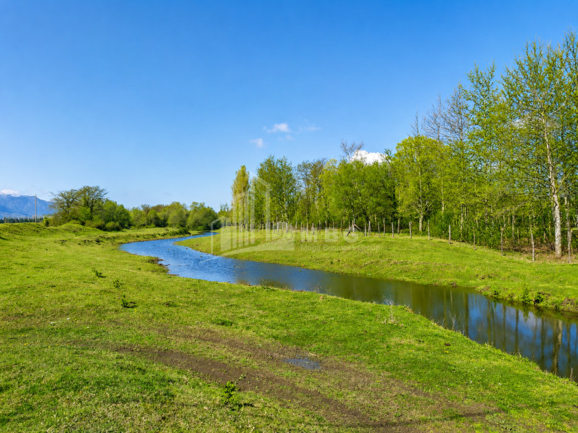 For Sale Orchards Land In Abasha