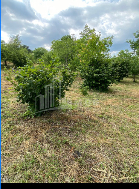 For Sale Country Land In Lamiskana, Kaspi