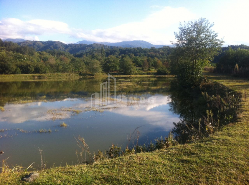 For Sale Land, Zeda Bakhvi, Ozurgeti Municipality, Municipalities of Guria