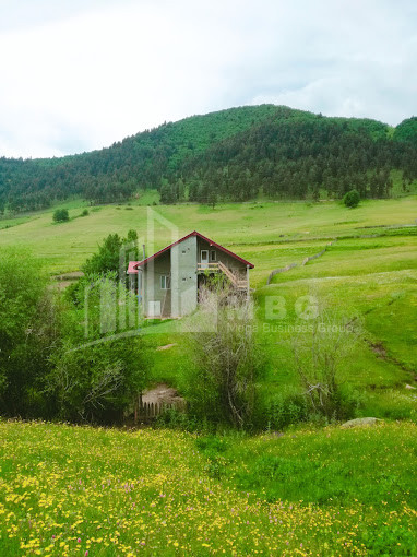 For Sale Commercial Tsvirmi Mestia Samegrelo   Upper Svaneti