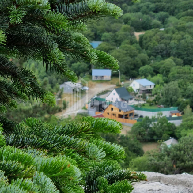 Продается Дом - Вилла В Коджори, Мтацминда Район