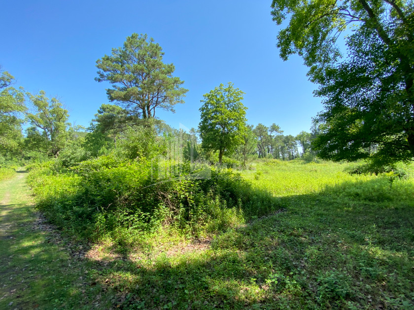 Продается Дачные Земля, в Город Поти