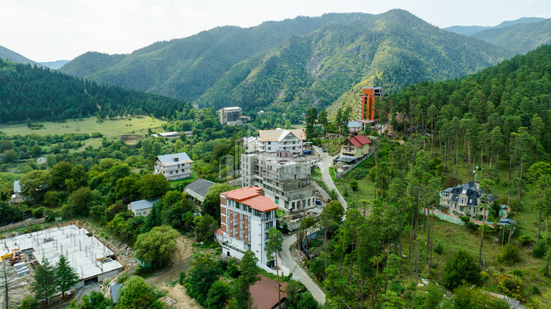 For Sale Commercial Likani Borjomi Samtskhe   Javakheti