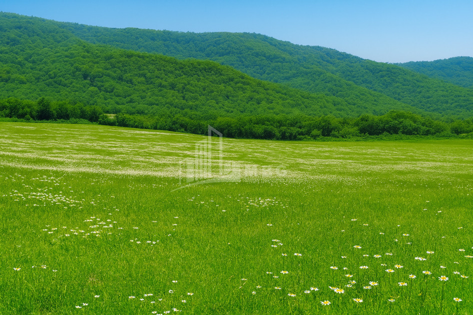 Продается Земля Гомбори Сагареджо Кахети