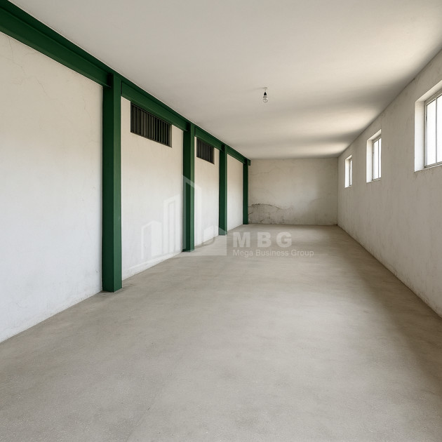 For Sale Commercial Village Dighomi Saburtalo District Tbilisi