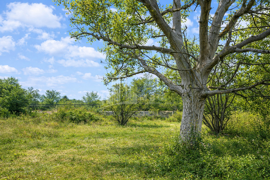 Продается Старое здание Дом - Вилла В Шалаури, Телави