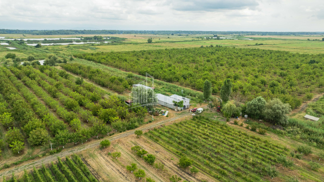 For Sale Land Kakheti