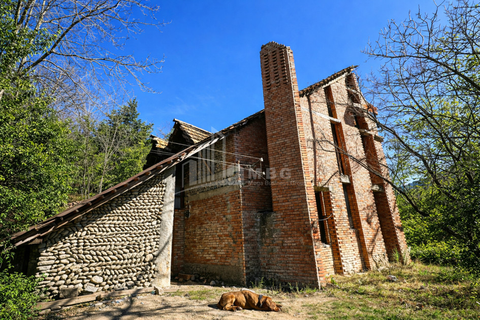 For Sale Old building House - Villa In Sagarejo