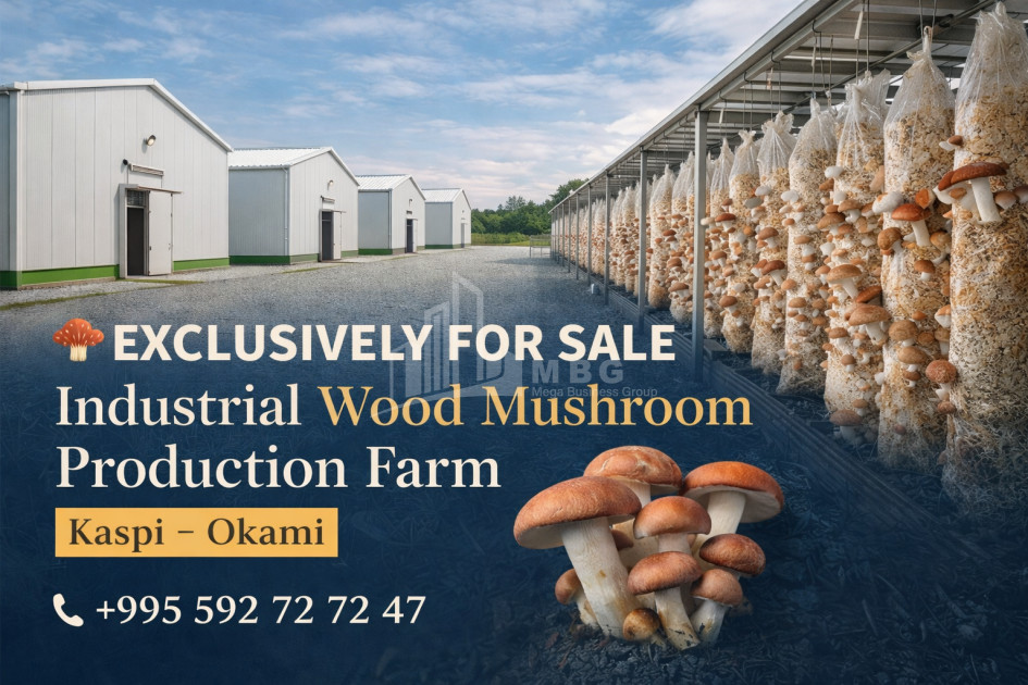 Продается Коммерческий Оками Каспси Шида Картли