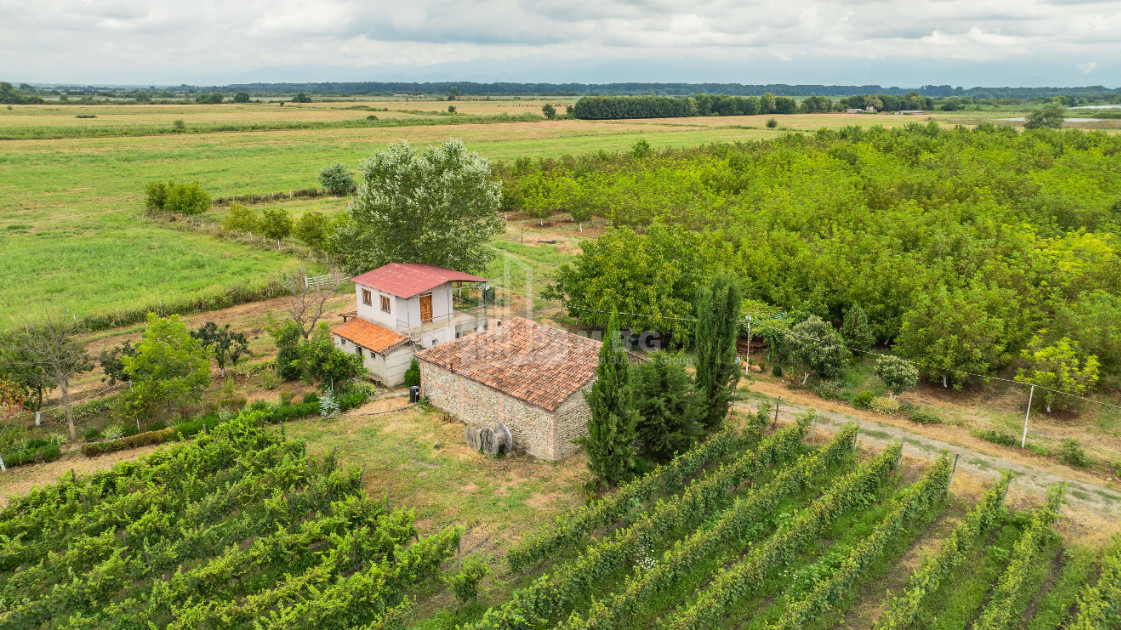 For Sale Land Kakheti