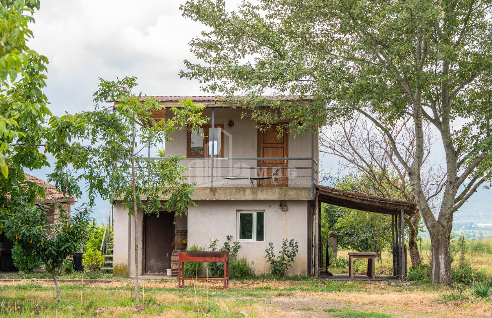 For Sale Land Kakheti