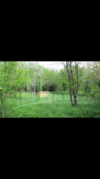 For Sale House - Villa, in Tskneti