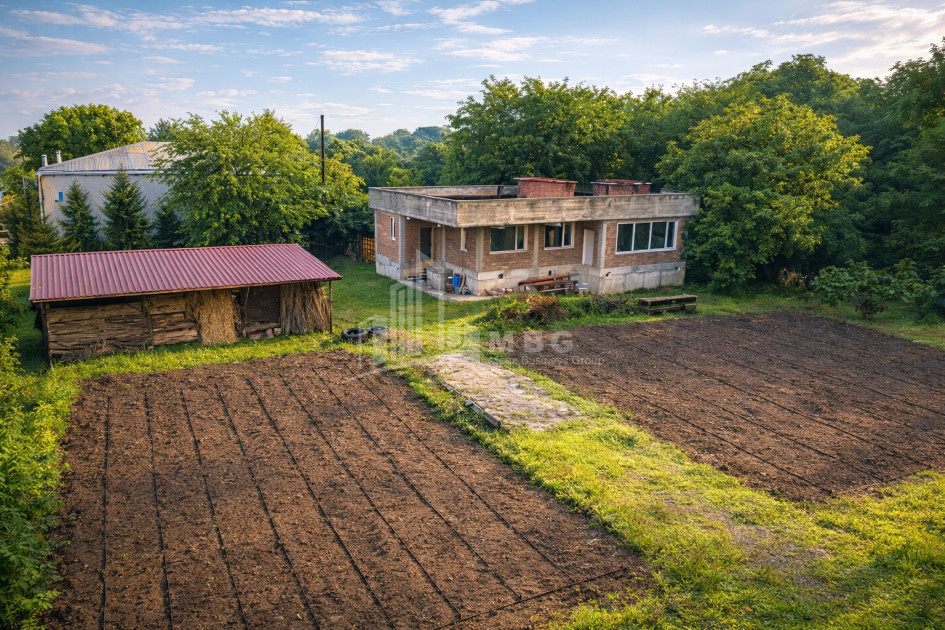 Business for sale Commercial Telavi Kakheti