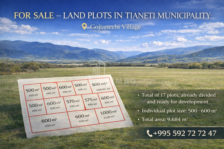იყიდება სააგარაკე მიწის ნაკვეთი გოჯიაანებში, თიანეთი