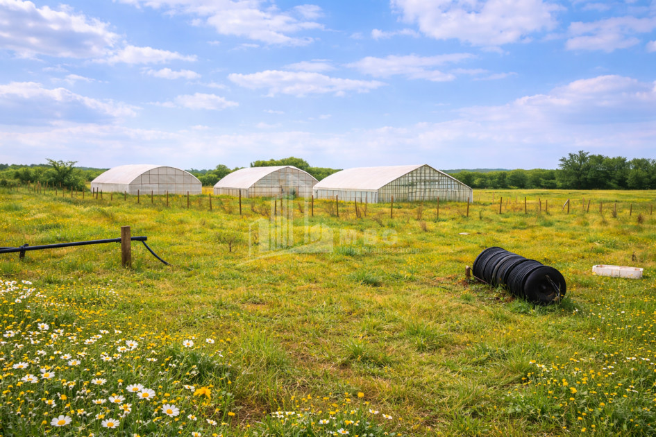Продается Земля Имерети