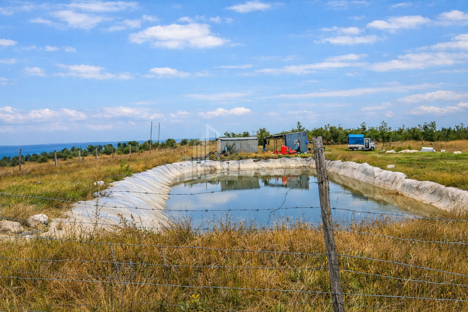 Продается Фруктовые сад Земля В Хашури