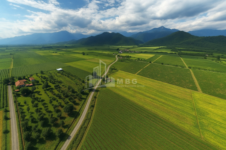 For Sale Land Kvareli Kakheti