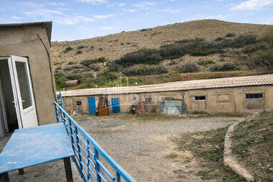 Продается Озеро - Рыболовное хозяйство Земля В Деревния Гачиани, Гардабани