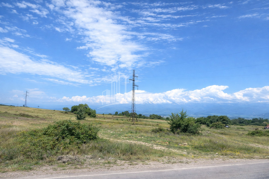 For Sale Land Telavi Kakheti