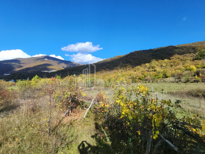 იყიდება მიწის ნაკვეთი დუშეთი მცხეთა   მთიანეთი