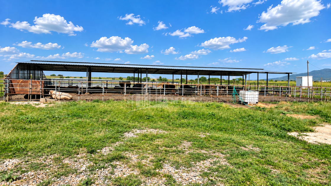 For Sale Production / warehousing space, Business yard Commercial In Koda, Tetritskaro