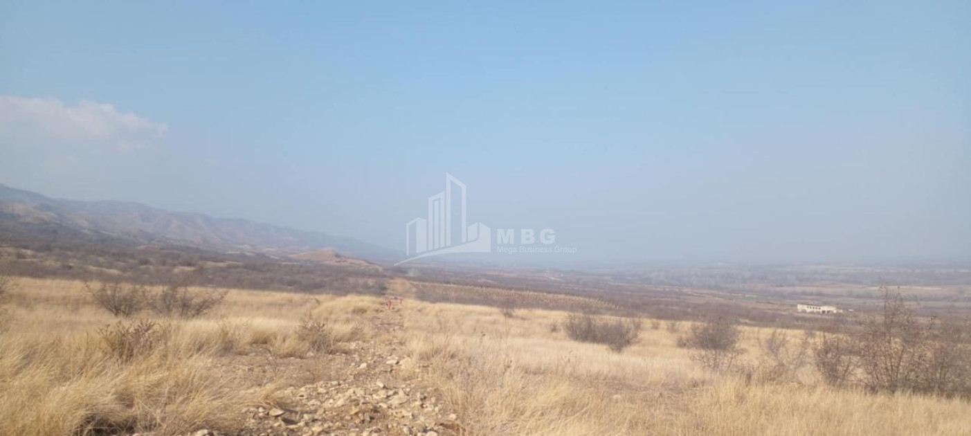 For Sale Land Samtatskaro Dedoplistskaro Kakheti