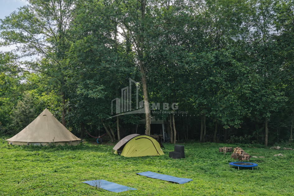 Business for sale Commercial Telavi Kakheti