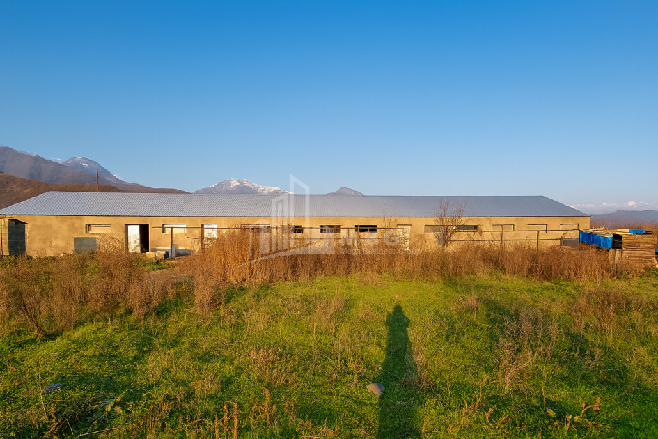 Продается Земля Зинобиани Кварели Кахети