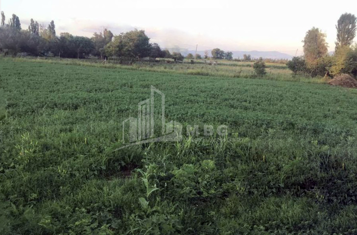 For Sale Land Mukhrani Mtskheta Mtskheta   Mtianeti