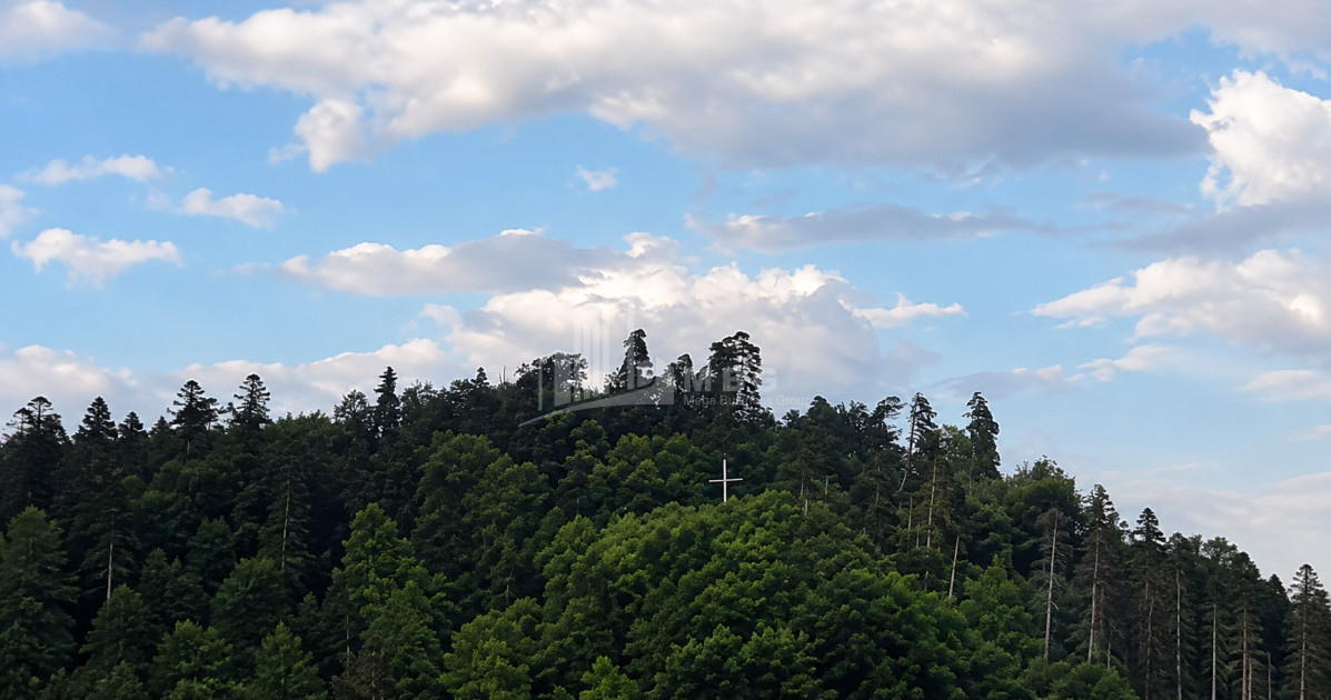 For Sale Country Land In Andesite, Borjomi